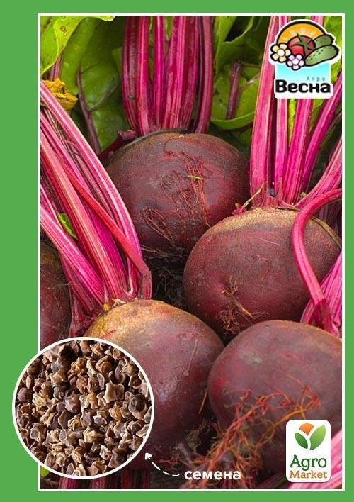 Свекла "Ноховская" ТМ "Весна" 2г