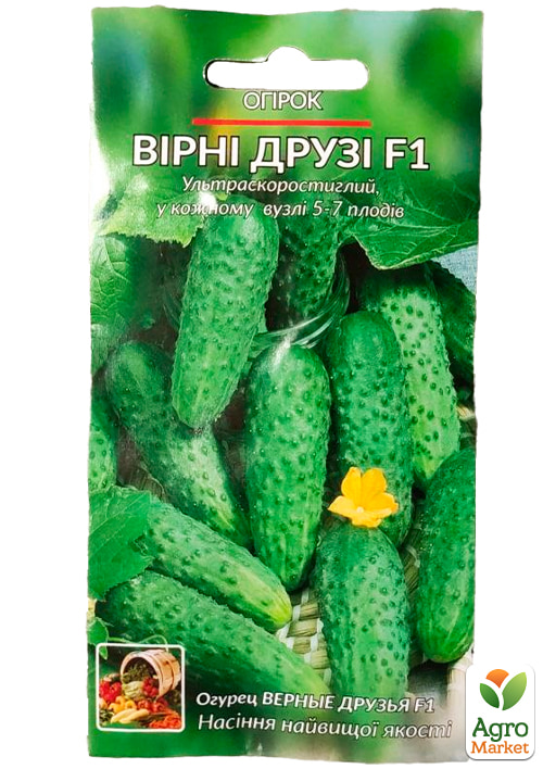 Огірок "Вірні друзі F1" ТМ "Весна" 0.25г - фото 2