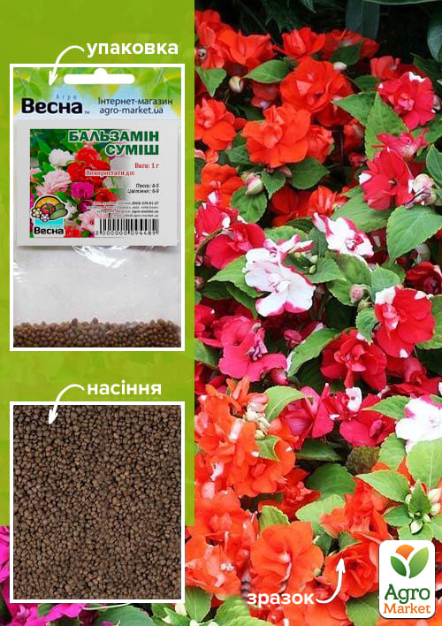 Бальзамин смесь (Зипер) ТМ "Весна" 1г