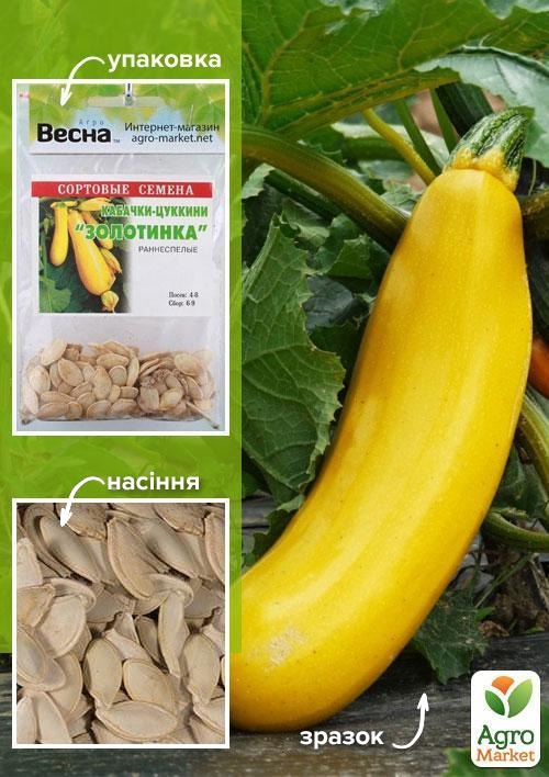 Кабачок-цукіні "Золотинка" (Зипер) ТМ "Весна" 3г