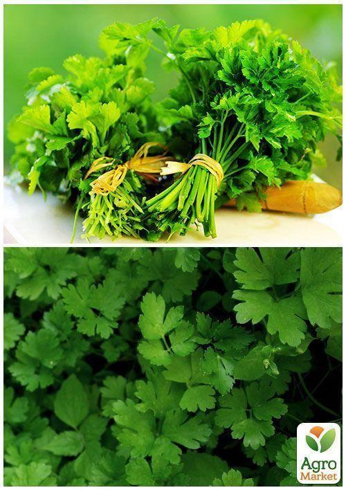 На развес Петрушка "Богатырь" ТМ "Весна" цена за 10г - фото 4