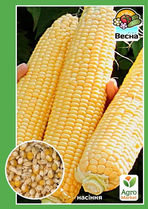 Кукурудза "Дитячий делікатес" (Новий пакет) ТМ "Весна" 7г