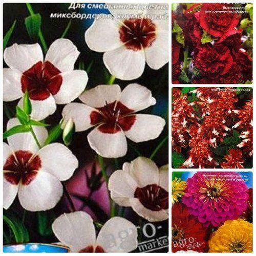 Комплект семян цветов "Забава" 5уп