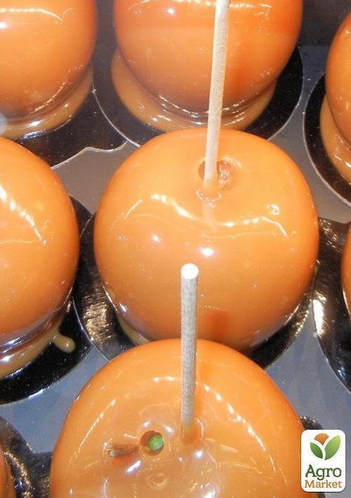 Яблоня "Рубинетте Россо" - фото 2