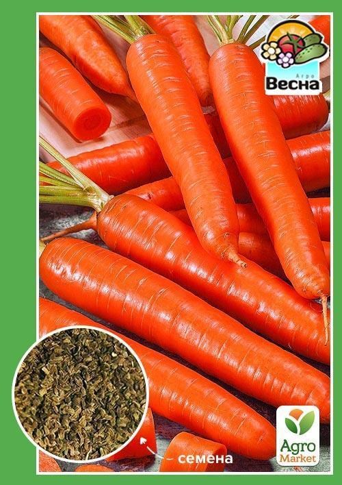 Морковь "Сладкая зимняя" (Новый пакет) ТМ "Весна" 2г