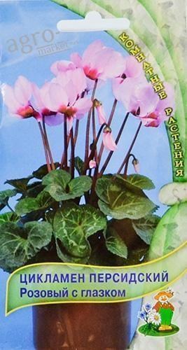 Цикламен персидский "Розовый с глазком" ТМ "Поиск" 2шт