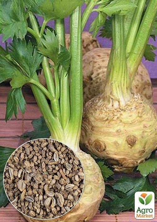 На развес Сельдерей корневой "Яблочный" ТМ "Весна" цена за 2г