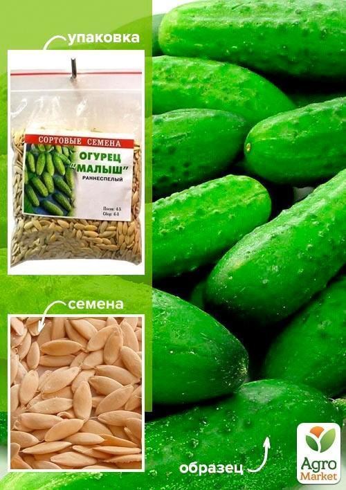 Огірок "Малюк" ТМ "Весна" 100г