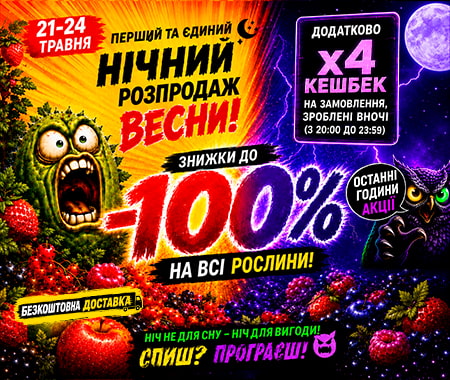 Нічний розпродаж до -100%