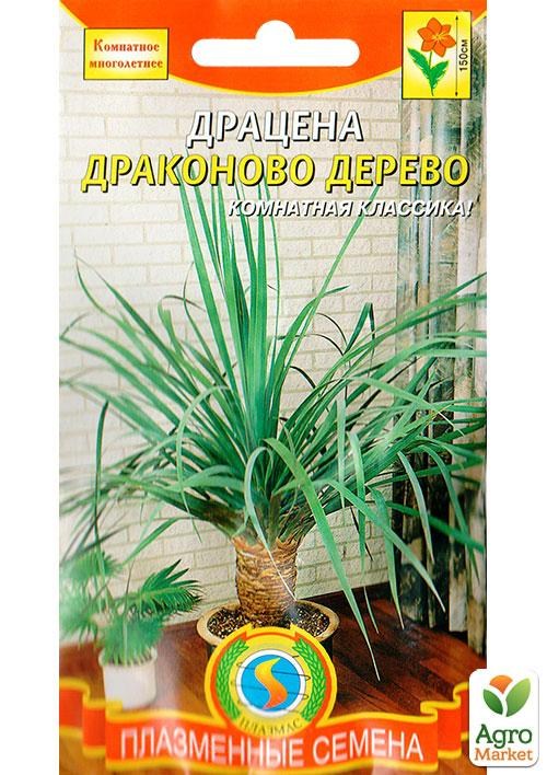 Драцена "Драконово дерево" ТМ "Плазменные семена" 2шт NEW