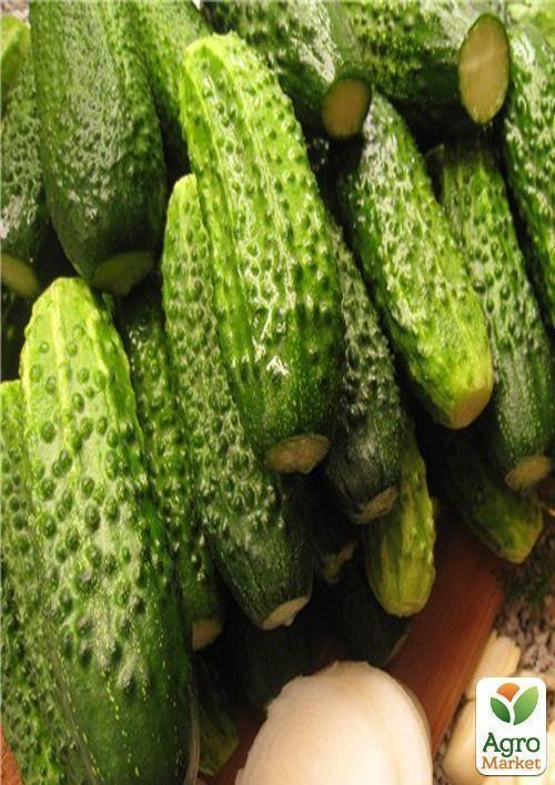 Огірок "Кроха F1" (Зипер) ТМ "Весна" 1.5г - фото 2