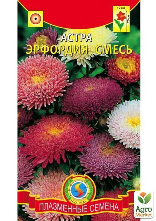 Айстра "Ерфордія" суміш ТМ "Плазмові насіння" 0,2г