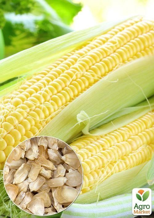 На развес Кукуруза "Снежная королева" ТМ "Весна" цена за 40г