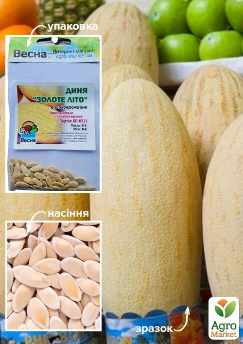 Дыня "Золотое лето" (Зипер) ТМ "Весна" 3г