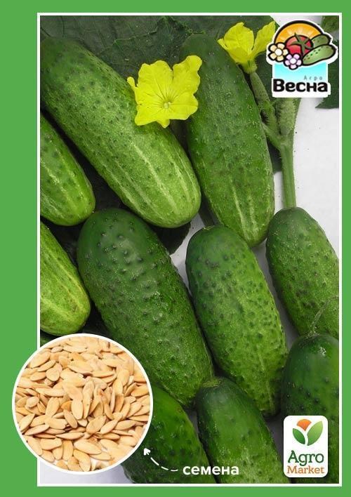 Огірок "Парус F1" ТМ "Весна" 0.25г