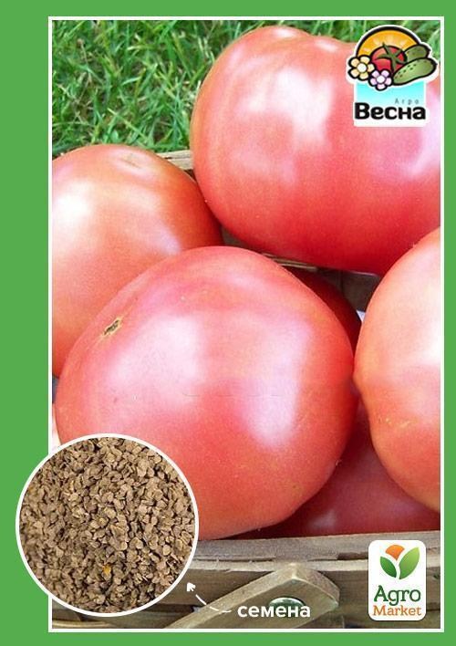 Томат "Олимп розовый" ТМ "Весна" 0.1г