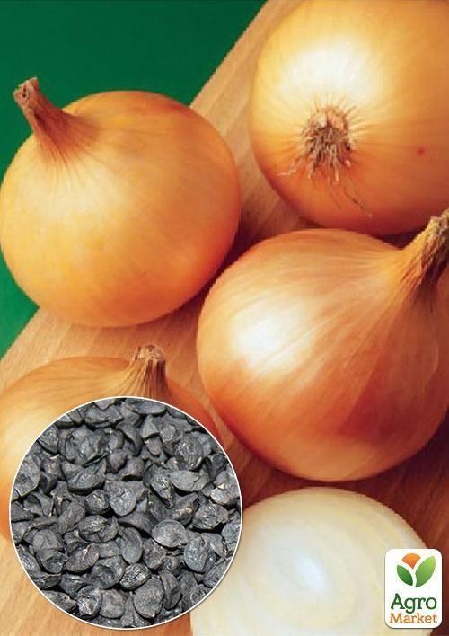 На вагу Цибуля "За один сезон" ТМ "Весна" ціна за 5г