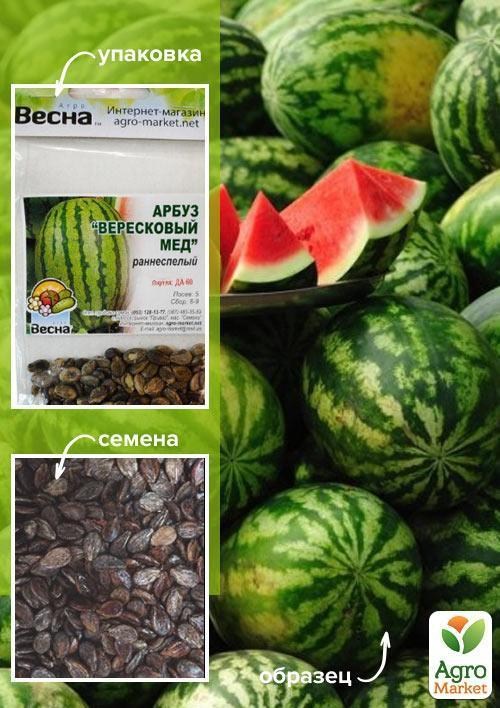 Кавун "Вересковий мед" (Зипер) ТМ "Весна" 4г