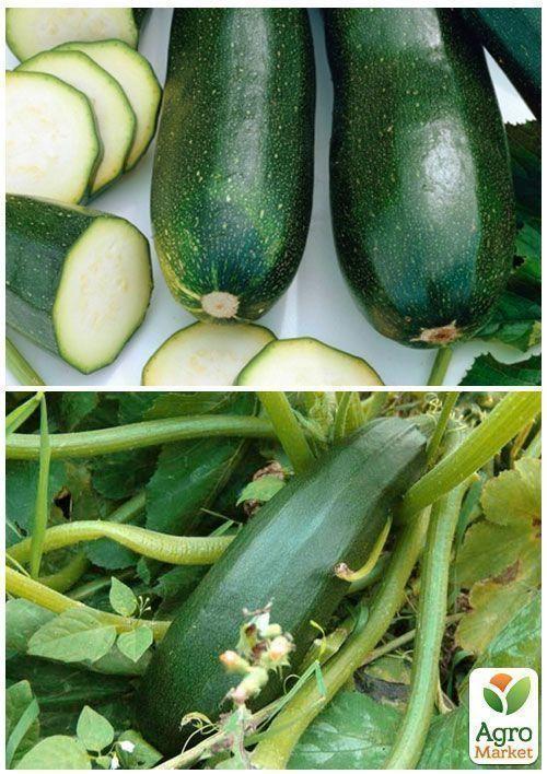 На вагу Кабачок "Цукеша" ТМ "Весна" ціна за 8г - фото 3