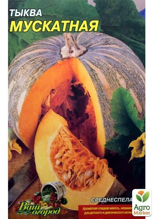 Гарбуз "Мускатний" (Великий пакет) ТМ "Весна" 8г - фото 2