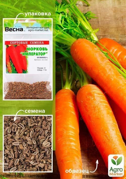 Морковь "Император" (Зипер) ТМ "Весна" 5г