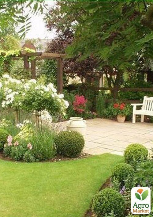 Газонная травосмесь "Быстрый ремонт" ТМ "Семейный сад" 800г - фото 3