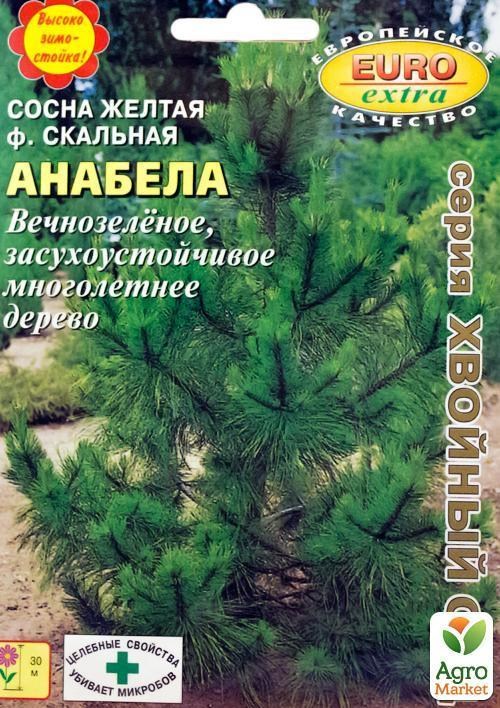Сосна скальная "Анабела" ТМ "Аэлита" 0.2г