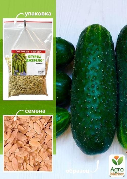 Огірок "Джерело" ТМ "Весна" 100г