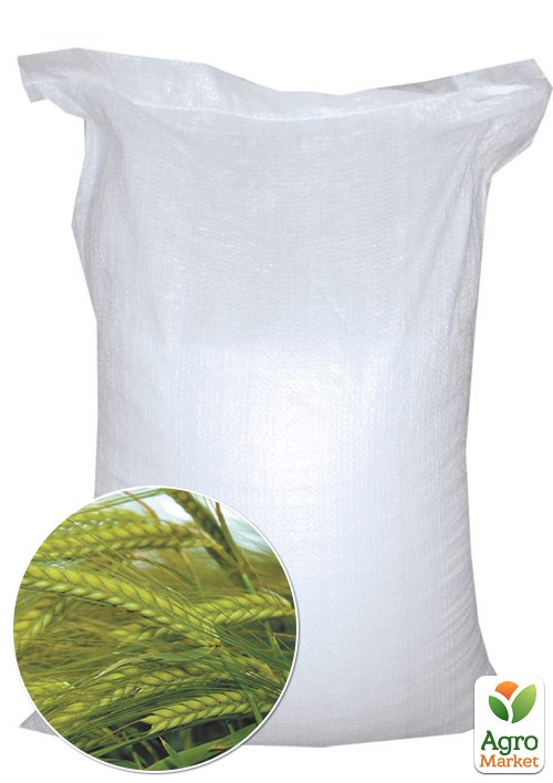Ячмень озимый "Снежная королева" ТМ "Весна" 10кг