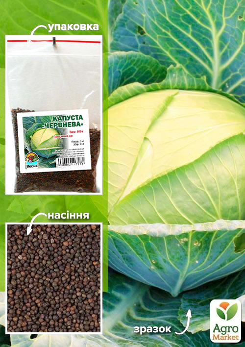 Капуста "Червнева" ТМ "Весна" 100г