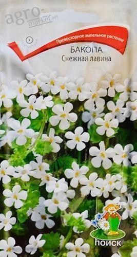 Бакопа "Снігова лавина" ТМ "Пошук" 5шт