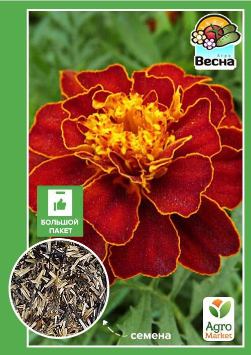 Бархатцы "Кармен" (Большой пакет) ТМ "Весна" 1г