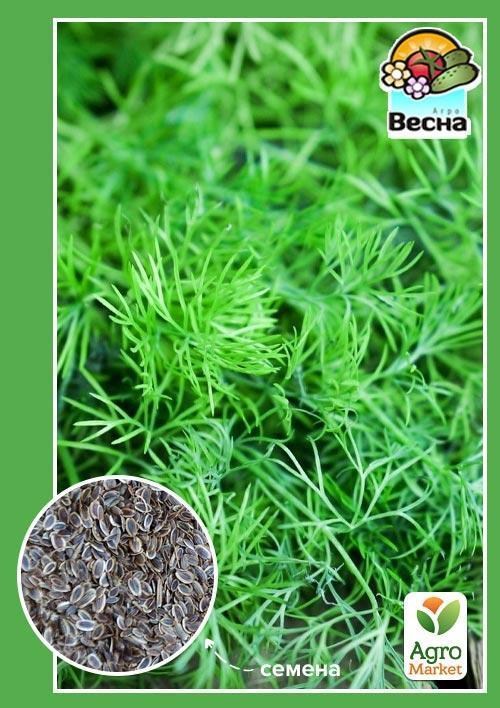 Кріп "Дилл" ТМ "Весна" 2г