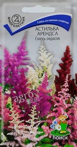 Астильба "Арендса" ТМ "Поиск" 40шт