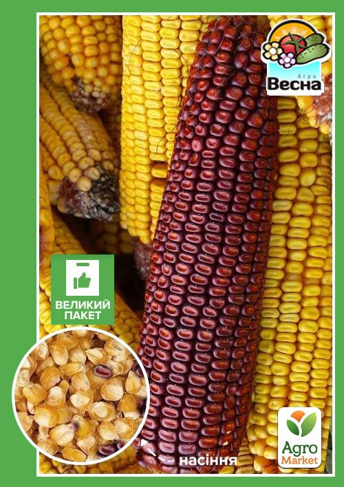 Кукурудза "Поп-корн" (Великий пакет) ТМ "Весна" 10г