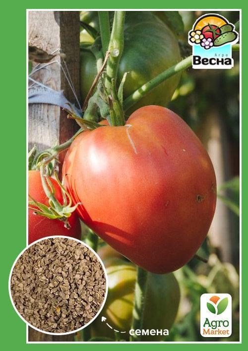 Томат "Царь-колокол" ТМ "Весна" 0.1г
