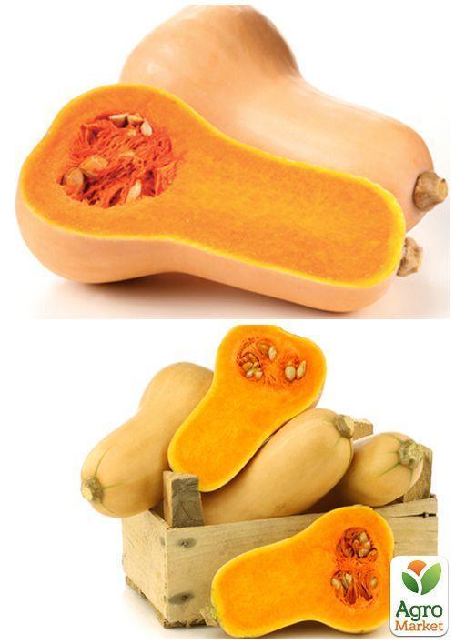 На вагу Гарбуз "Арабатський" ТМ "Весна" ціна за 10г - фото 3