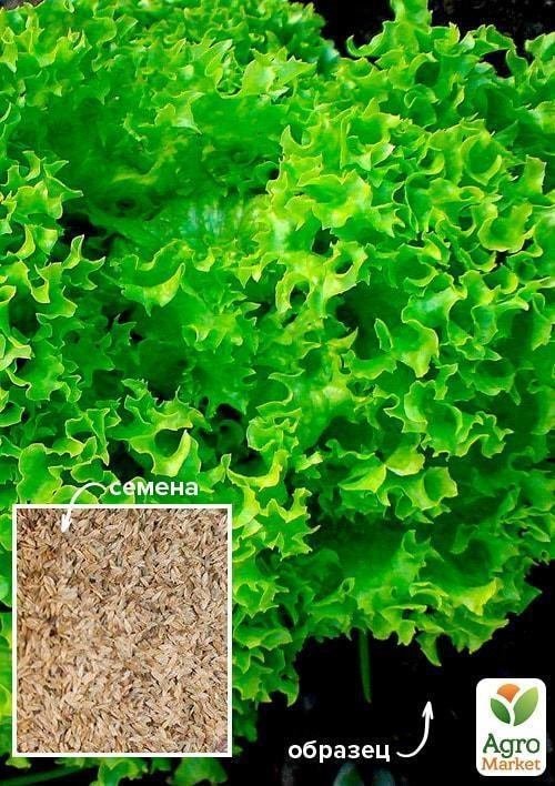 Салат "Австралийский" ТМ "Весна" 100г