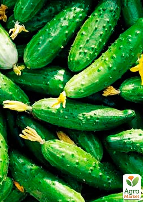 На вагу Огірок "Фенікс плюс" ТМ "Весна" ціна за 5г - фото 3