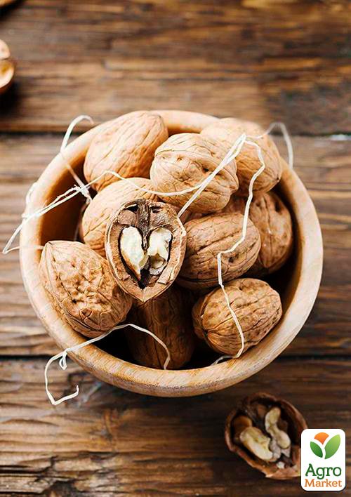 Волоський горіх щеплений "Hartley" (селекція США, середній термін дозрівання) - фото 6