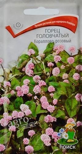Горець головчасте "Коралово-рожевий" ТМ "Пошук" 0.05г
