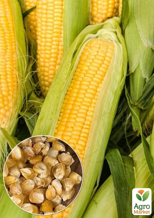 На вагу Кукурудза "Конкурент" ТМ "Весна" ціна за 40г