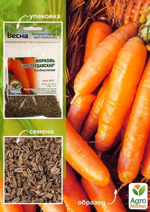 Морковь "Амстердамская" (Зипер) ТМ "Весна" 5г