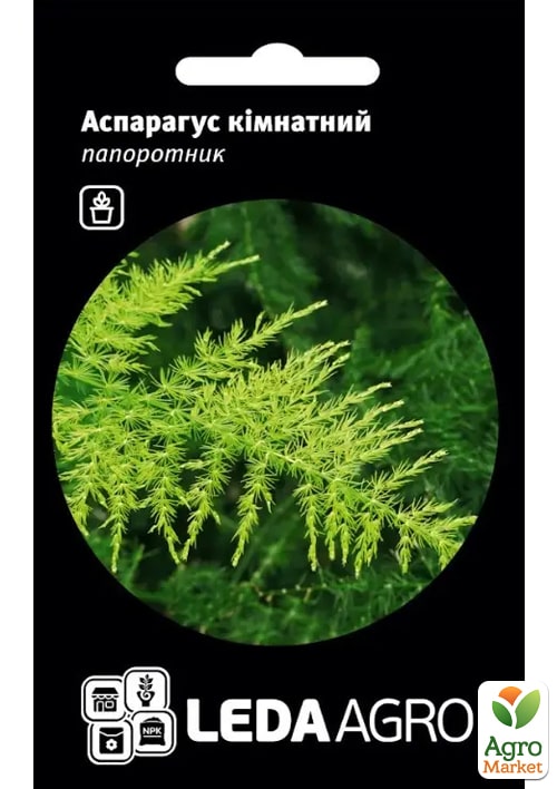 Аспарагус комнатный ТМ "Leda Agro" 5шт
