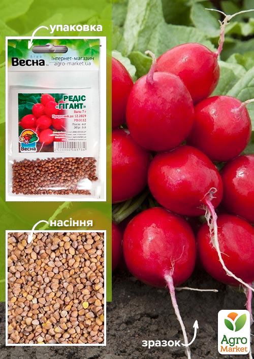 Редис "Гігант" (Зипер) ТМ "Весна" 7г