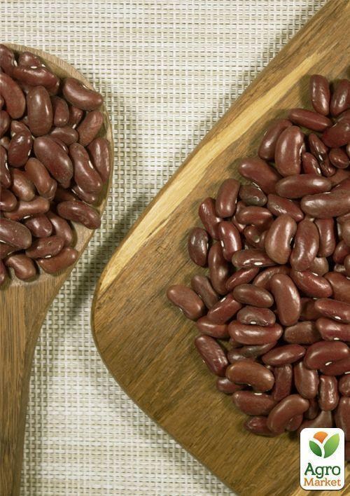 На вагу Квасоля спаржева "Угорська синя" ТМ "Весна" ціна за 5г - фото 2