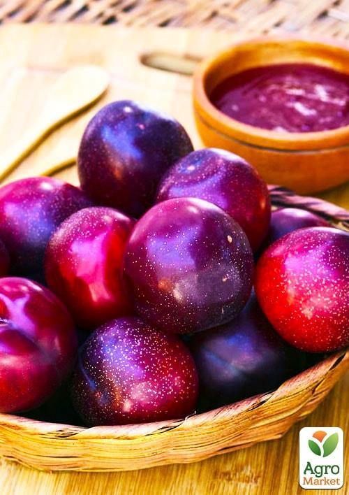 Ексклюзив! Японська слива "Сатсума" (Satsuma) (ранньостиглий) великоплідна 150грамм!