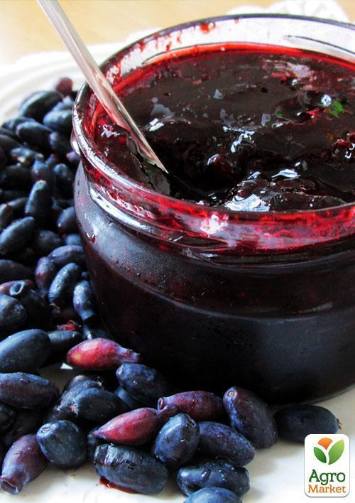 Жимолость "Синій птах" (ранній термін дозрівання, стійкий до осипання сорт) - фото 5