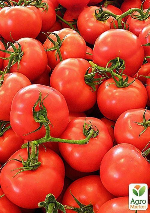 Томат "Мичуринец" ТМ "Vesna Select" 0,2г