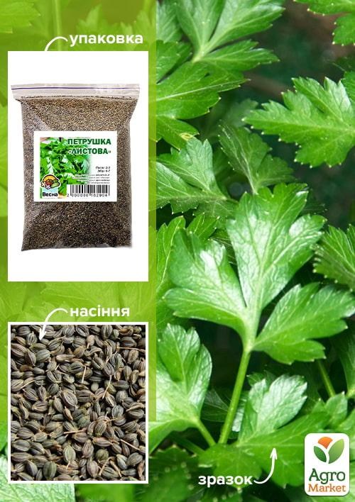 Петрушка "Листова" ТМ "Весна" 500г